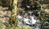 Trail Walking Chenailler-Mascheix - gorges de mémoire et cascade gourlastine - Photo 6
