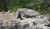Tocht Stappen Barjac - barjac dolmens avens - Photo 1