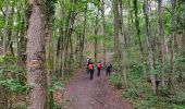 Trail Walking Nainville-les-Roches - Les grands avaux - Photo 12