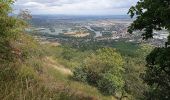 Tour Zu Fuß Welhota an der Elbe - NS Lovoš - Photo 9