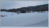 Tour Wandern Pfaffenheim - Osenbuhr (31/01/2019) - Photo 2