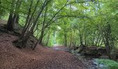 Tocht Stappen Seraing - les bois de l abbaye - Photo 15