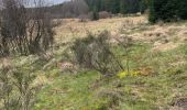 Tocht Stappen Büllingen - Rocherath (Rocher de Bieley) 12 Km - Photo 2