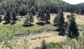 Excursión Senderismo Peyre en Aubrac - BOUCLE AU DEPART DE FAU DE PEYRE - Photo 20