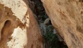 Excursión Senderismo Ollioules -  Les Grottes  St Martin  - Photo 17