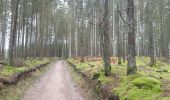 Tocht Stappen Stavelot - Francorchamps roannay rive gauche - Ruy retour rive droite - Photo 8