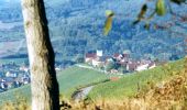 Tour Zu Fuß Freudental - Roter Punkt Freudental - Hohenhaslach - Photo 4