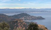 Trail On foot Saint-Raphaël - 2 pics et 3 cols depuis le parking d' Antheor - Photo 12