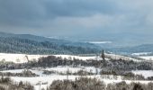 Tocht Te voet Lutowiska - Ścieżka ekumenizm 