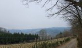 Tour Wandern Malmedy - Bévercé- vallée de la Warchenne - Chôdes  - Photo 15