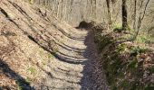 Tour Wandern Wanze - Bas Oha 180325 - Photo 13