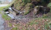 Percorso Marcia Laruns - la fontaine du curé  - Photo 1