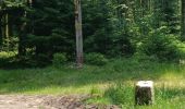 Trail Walking Cleurie - Circuit Cleurie / ST Amé - le Fossard - Photo 13
