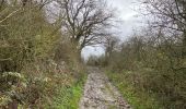 Trail Walking Walcourt - Walcourt 13 km - Photo 9