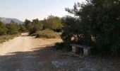 Trail Walking Saint-Marc-Jaumegarde - Bimon-La croix de Provence - Photo 7