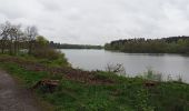 Excursión Senderismo Bütgenbach - Butgenbach lac et environs - Photo 3