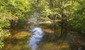 Tocht Stappen Libin - balade du dimanche entre eau et forêt  - Photo 10