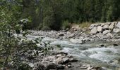 Tour Wandern Vallouise-Pelvoux - Cascade de la Pisse et pont des places - Photo 12