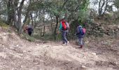 Trail Walking Grignan - grignan 14 01 22 - Photo 11