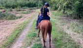 Trail Horseback riding Reherrey - Randonnée reherey Marion uccello - Photo 2