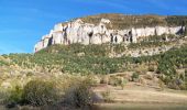 Randonnée Marche Châtillon-en-Diois - Montagne de Beaupuy - Nonnières - Photo 6