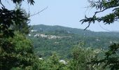 Trail On foot Unknown - Παντοκράτορος - Καρυες - Γρηγορίου - Photo 8