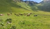 Tour Wandern Morzine - morzine la cime de Nyon  - Photo 2