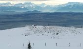 Randonnée Raquettes à neige Sainte-Croix - Col des Etroits Le Chasseron CAF - Photo 1