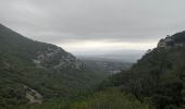 Trail Walking Saint-Guilhem-le-Désert - Le roc aux vignes - Photo 8