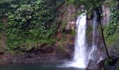 Randonnée Marche Capesterre-Belle-Eau - 3ème chute du Carbet - Photo 1