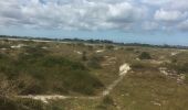 Trail Walking Tréflez - Dunes de Kerrema - Photo 6