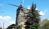 Tocht Stappen Doué-en-Anjou - Doué-la-Fontaine  - Photo 5