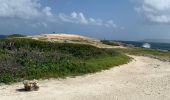 Randonnée Vélo de route Sainte-Anne - Pointe dès châteaux  - Photo 1