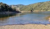 Tocht Stappen La Môle - La Mole - Barrage de la Verne  - Photo 7