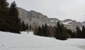 Tour Schneeschuhwandern Villard-de-Lans - Vallon de la Fauge - Photo 8