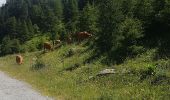 Randonnée Marche Abriès-Ristolas - Pti belvedère du Viso +sentier decouverte - Photo 1