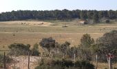 Randonnée Marche Paradou - Le Paradou : les tours de Castillon - Photo 5