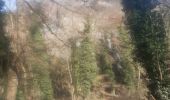 Trail Walking Chaudfontaine - petit tour dans le bois d Embourg - Photo 11
