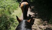 Trail Horseback riding Falck - Falck, forêt de la Houve  - Photo 1