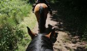 Tour Reiten Falk - Falck, forêt de la Houve  - Photo 1