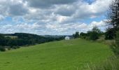 Trail Walking Houffalize - Les deux Ourthes au départ de Filly - Photo 4