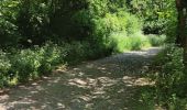 Trail Walking Altstrimmig - A la découverte du pont de Geierlay - Photo 9