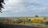 Tocht Stappen Neufchâteau - Molinfaing observatoire - Photo 17