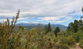 Excursión Senderismo Sault - Monieux le Vallat du Loup - Photo 9