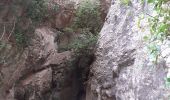 Tour Wandern La Ciotat - la Ciotat grotte Fardeloup - Photo 17