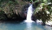 Tour Wandern Sainte-Rose - Cascade Naca - Photo 3