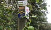 Tour Wandern Anhée - Boucle Anhée - poilvache - les roches yvoir - Photo 7