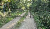 Tour Wandern Brières-les-Scellés - Brières-les-Scellés - Photo 7