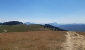 Trail Walking Viuz-la-Chiésaz - Semnoz, mon tour des lacs et des crêts  - Photo 15