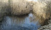 Trail On foot Ramat Negev Regional Council - Rosh Elot circuit - Photo 2